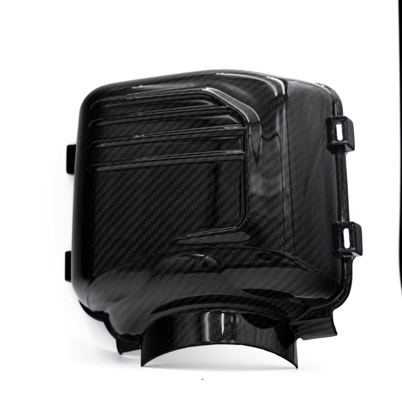 2024-2025 Ford Mustang S650 Carbon Fiber Intake Cover (Pair)