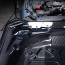 2024-2025 Mustang S650 Type-LM Carbon Fiber Double Sided Hood-18